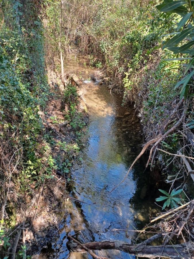 埃尔博斯克Casa Sendero Del Rio别墅 外观 照片
