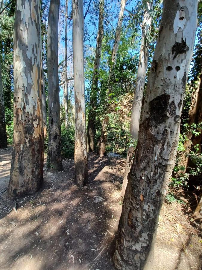 埃尔博斯克Casa Sendero Del Rio别墅 外观 照片